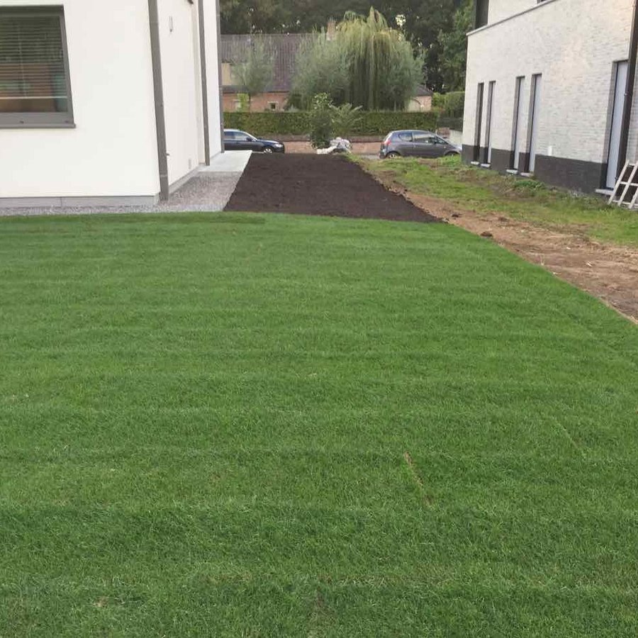 Fotogalerij Geralds Gazon